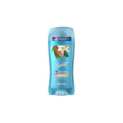 SECRET 48H INVISIBLE SOLID Cocoa Butter 73g