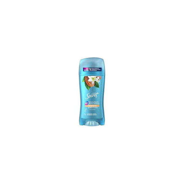 SECRET 48H INVISIBLE SOLID Cocoa Butter 73g